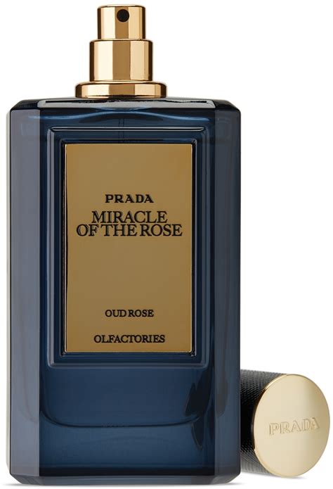 prada miracle of the rose prezzo